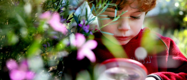 Australian National Botanic Gardens