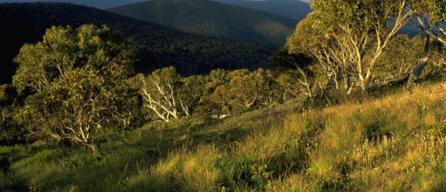 Namadgi National Park and Visitors Centre
