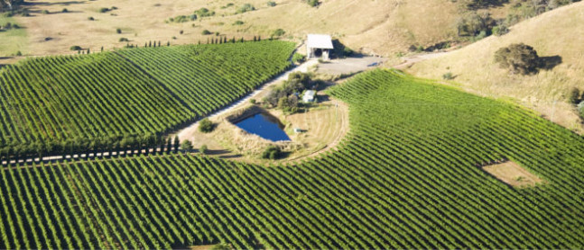 Lerida Estate Wines