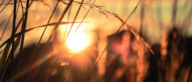 Poachers Pantry & Wily Trout Vineyard